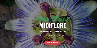 CC638 MIDIFLORE 400x200 .jpg